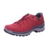 Lowa Wanderschuh TORO EVO GTX LO WS