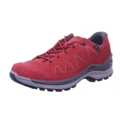 Lowa Wanderschuh TORO EVO GTX LO WS